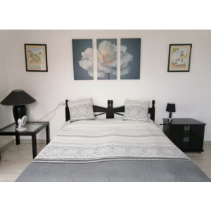 Ocean View apartment 